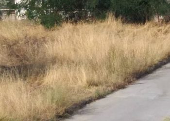 Aκαθάριστα οικόπεδα: Τι να κάνετε για να μην πληρώσετε πρόστιμα έως και 54.000 ευρώ