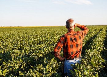 ΕΕ: Τι ισχύει για τις ενισχύσεις αγροτών σε περιπτώσεις έκτακτων καιρικών συνθηκών