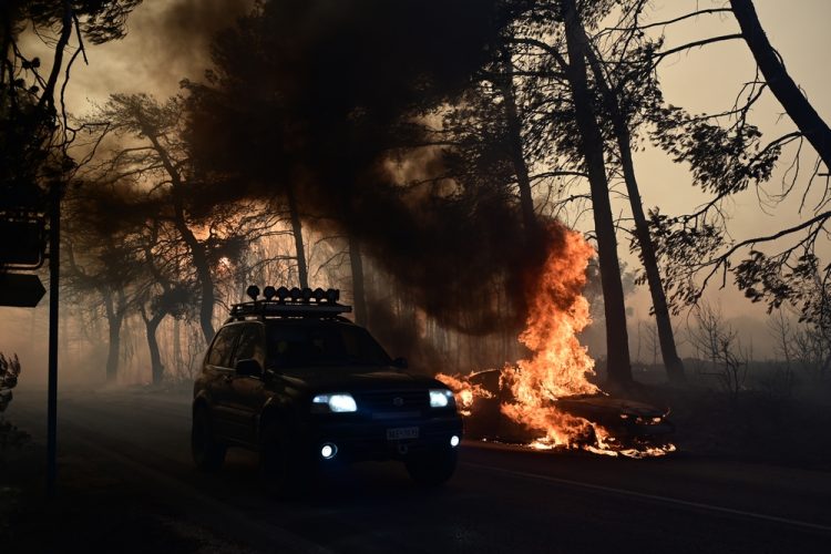 Πυρκαγιά στον Βαρνάβα Αττικής, Κυριακή 11 Αυγούστου 2024 (ΜΙΧΑΛΗΣ ΚΑΡΑΓΙΑΝΝΗΣ / EUROKINISSI)