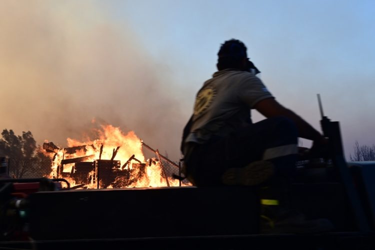 Πυρκαγιά στον Βαρνάβα Αττικής, Κυριακή 11 Αυγούστου 2024 (ΜΙΧΑΛΗΣ ΚΑΡΑΓΙΑΝΝΗΣ / EUROKINISSI)